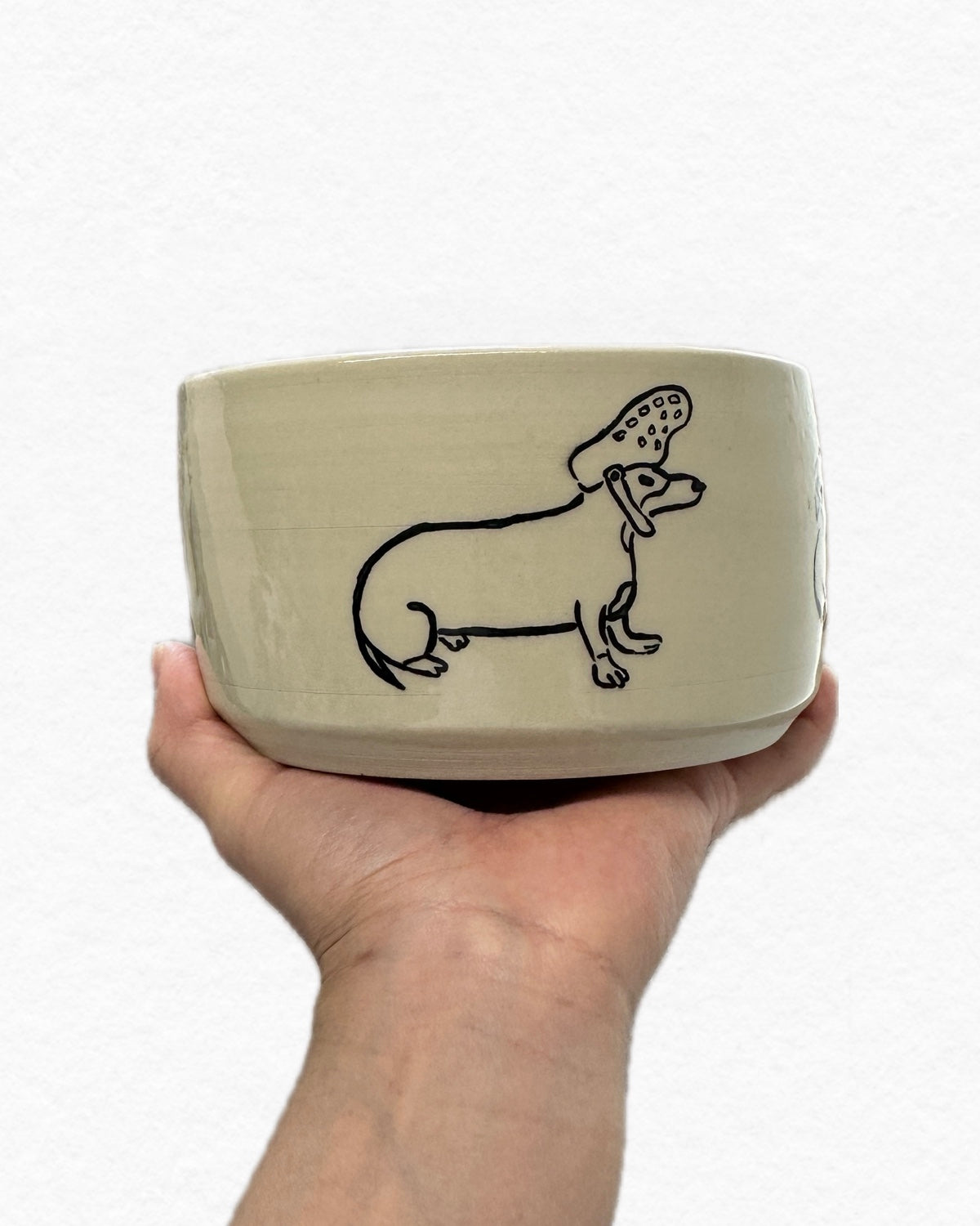 bowl - dachshund